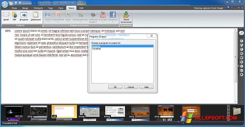 Ekran görüntüsü Snagit Windows XP