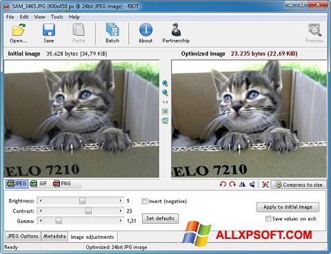 Ekran görüntüsü RIOT Windows XP